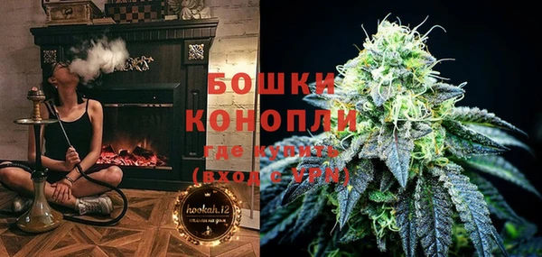 PSILOCYBIN Лиски