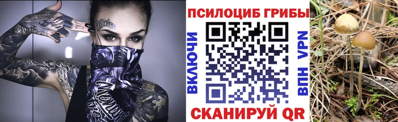 Псилоцибиновые грибы GOLDEN TEACHER  Семилуки 