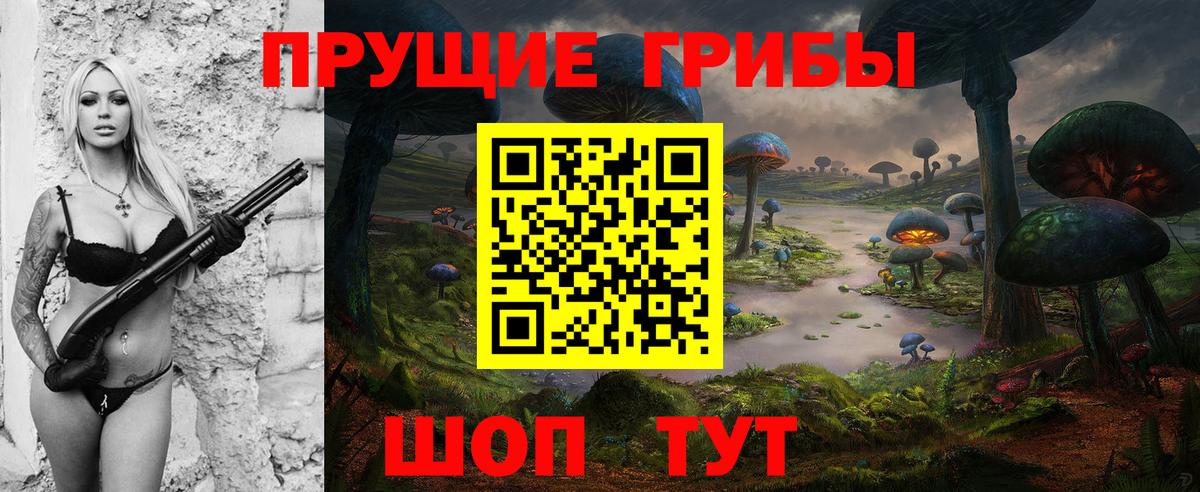 Галлюциногенные грибы прущие грибы  Вход с VPN  Галлюциногенные грибы Psilocybine cubensis  Семилуки 